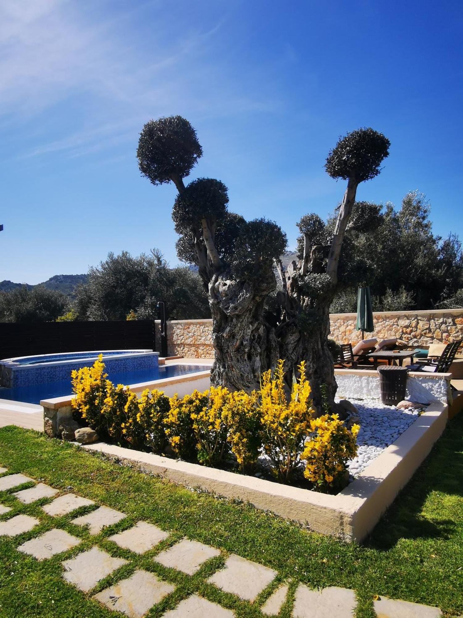 Villa Mata - 600M² With Private Pool And Jacuzzi Kalithies Exterior foto