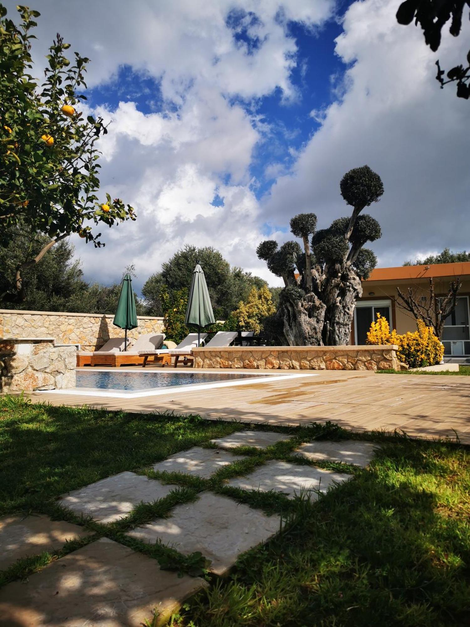 Villa Mata - 600M² With Private Pool And Jacuzzi Kalithies Exterior foto